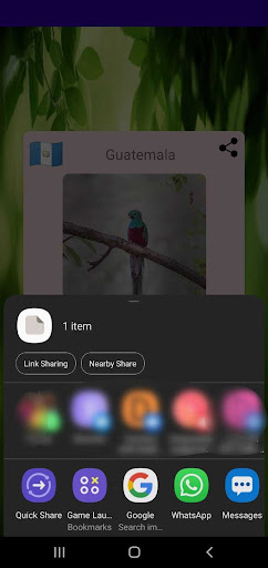 Android application Animal Info screenshort