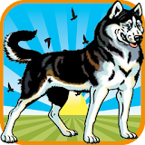 Dog Jungle Run icon