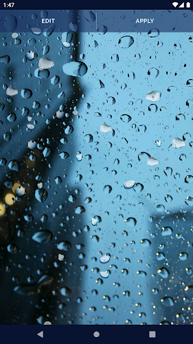 Rain Water Live Wallpaper - Latest version for Android - Download APK