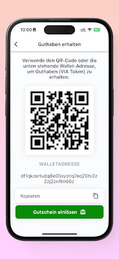 KVIA Wallet Screen 2