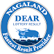 Dear Lottery Results Nagaland - Androidアプリ