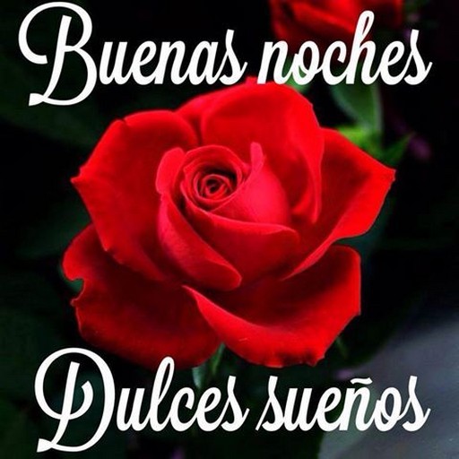Buenos dias buenas noches GIf Screen 2