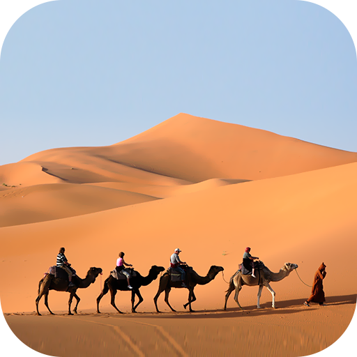 Desert Wallpaper 2023 logo