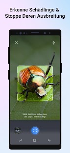 Picture Insect - Insekten ID Screenshot