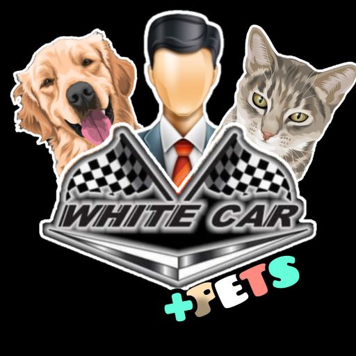 white car pets logo
