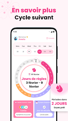 Aperçu de l'application