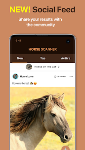 Horse Scanner MOD APK (Premium Unlocked) 4