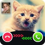 Cover Image of Download cat call you - fake video call  APK