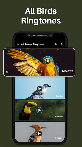 Animal Ringtones & Bird Sounds Screen 2
