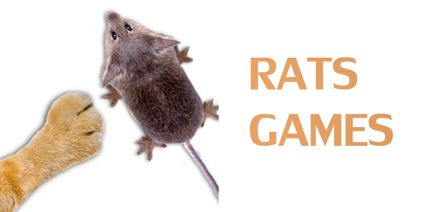 Games for cat – catch the rat 9