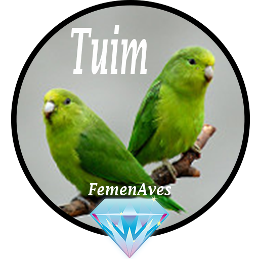 Canto Fêmea de Tuim 5.0 Icon