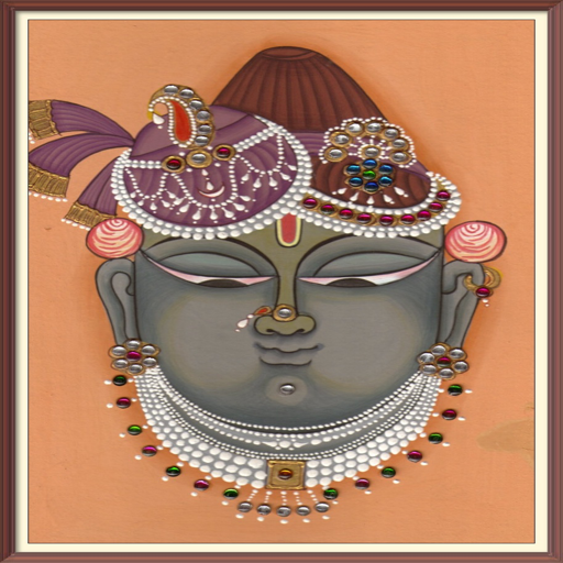 srinathji yamunashtakji aartis Screen 2
