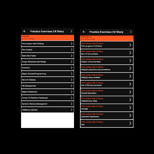 Practice Exercises C# Sharp Screen 2