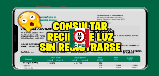 Consulta Recibo Luz CFE Guia