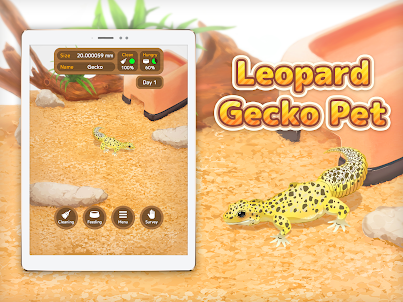 Leopard Gecko Pet