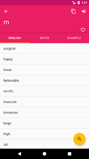 Hausa English Dictionary Screen 2