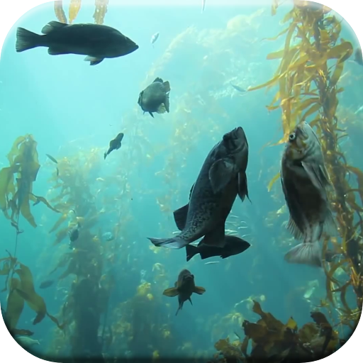 Aquarium HD Live Wallpaper logo