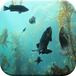 Icon image Aquarium HD Live Wallpaper