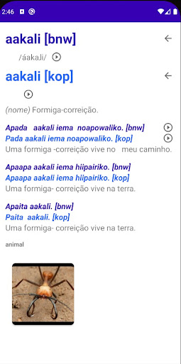 Android application Dicionário Baniwa-Koripako screenshort