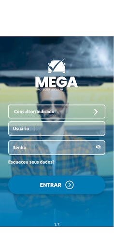 Mega Consultor