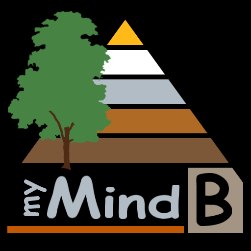 myMindB Data Organizer logo