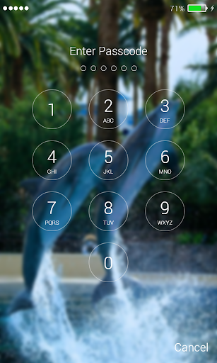 Dolphins Lock Screen