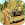 Army Truck Driver : Offroad