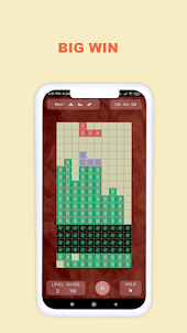 Tetris Endless Puzzle Fun
