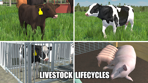 American Farming v0.4.83 MOD APK (Money/DLC Unlocked)