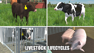 American Farming - Screenshot 3