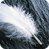 Feather Live Wallpaper icon