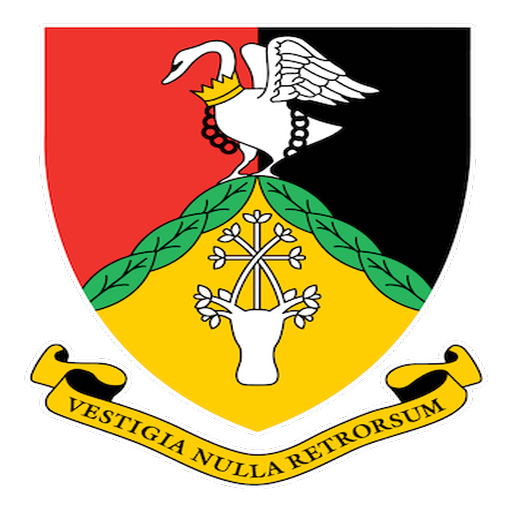 BRFC Minis Festival logo