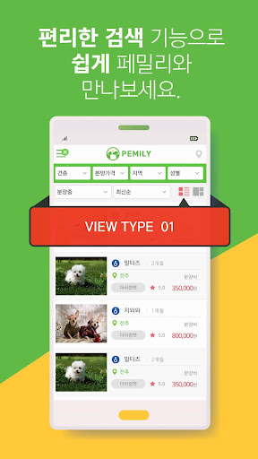 고품격 애견분양 페밀리 pemily Screen 2