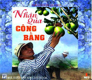 Nhân quả công bằng 2