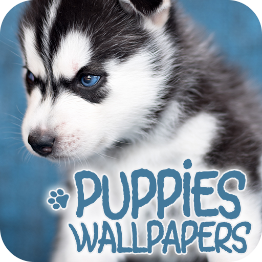 Puppies Wallpapers in 4K logo