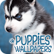 Puppies Wallpapers in 4K ดาวน์โหลดบน Windows