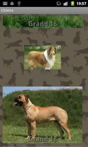 Dog Sounds Screen 2