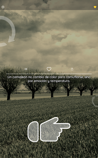 Datos Curiosos y Sorprendentes