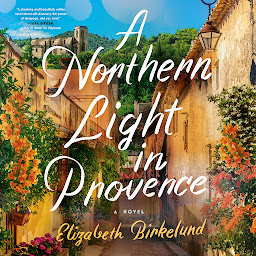 Icon image A Northern Light in Provence: A Novel