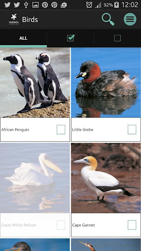 Sasol Birds for Beginners Screen 2
