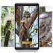 Frogmouth beauty life nature Wallpaper - Androidアプリ