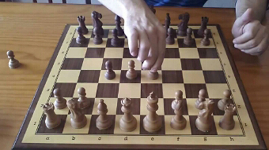 um tutorial bem explicado para iniciantes #xadrez #jogidavida #fyp #bu