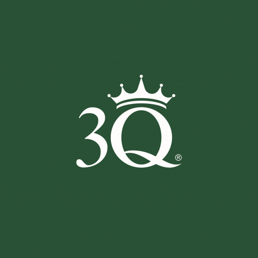 3Q logo