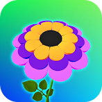 Color Flower : Color Petal 3D