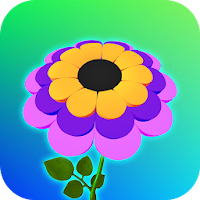 Color Flower : Color Petal 3D