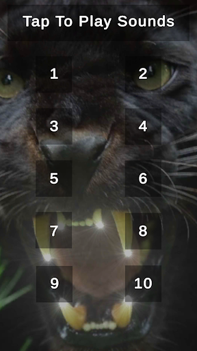 Panther Roar Scare Sounds Screen 2