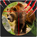 Wild Bear Hunter 3D icon