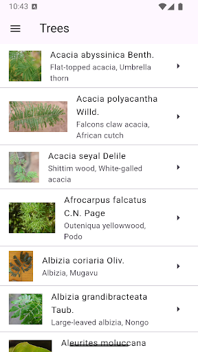 Vista previa de la aplicación