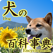 Top 16 Entertainment Apps Like Dog encyclopedia! - Best Alternatives