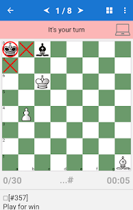 Chess Endings for Beginners 2
